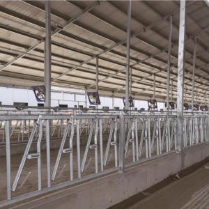 Cattle Feeding Panels